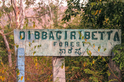Dibbagiri betta森林招牌由石板制成，竖立在石柱上，显示蚀刻和绘画的英语和旁遮语文本。广