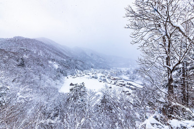 白川走下了大雪