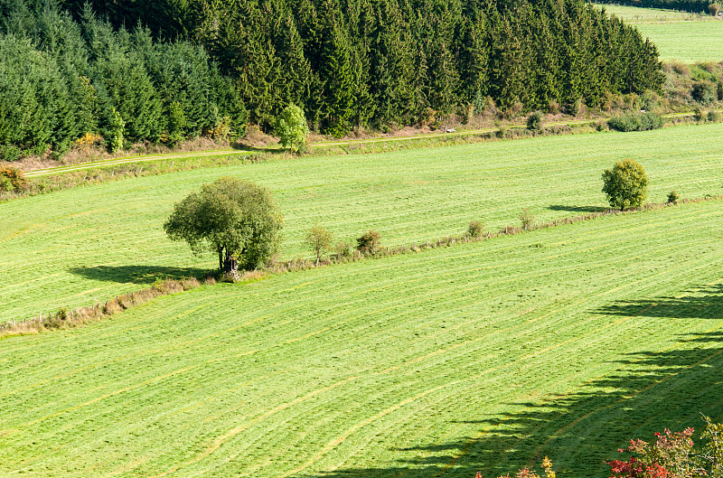 Sauerland, Medebach，布罗姆伯格山山谷的景色