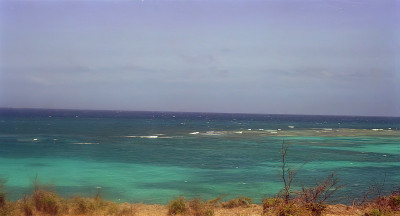 安提瓜岛加勒比海热带岛屿的海岸线