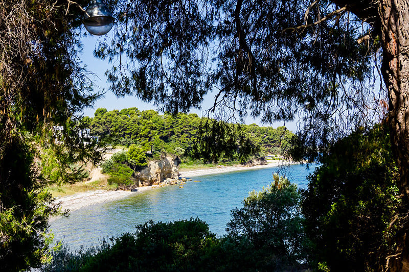 观景海湾槽内绿树成荫，松树成林