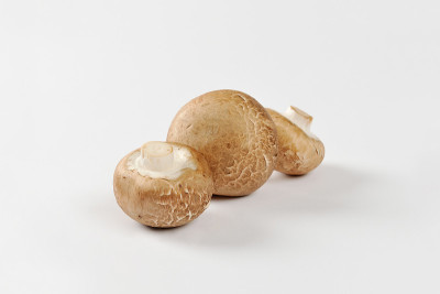生cremini蘑菇
