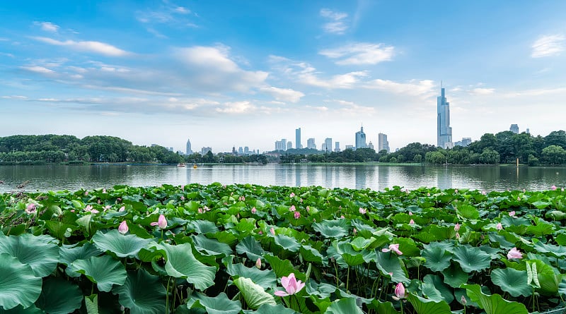 南京城市建筑天际线