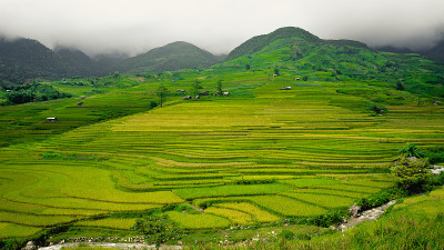 山谷里的梯田
