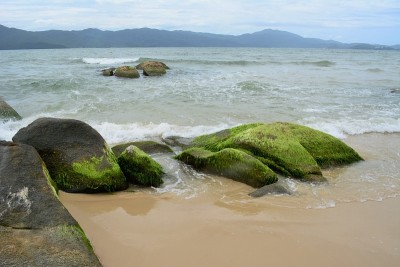 沙滩和大海