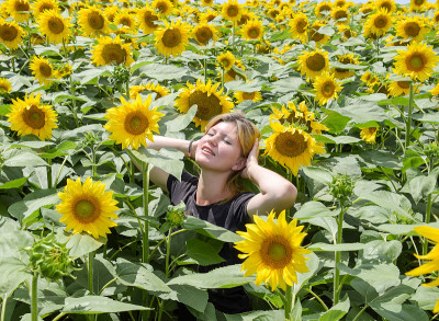 年轻漂亮的金发碧眼的向日葵花。向日葵地里的女孩。