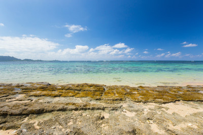 海滩(石垣米原海岸在日本