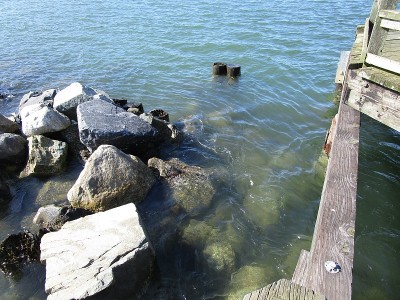 秋天耶利哥海滩海岸和码头风景，加拿大