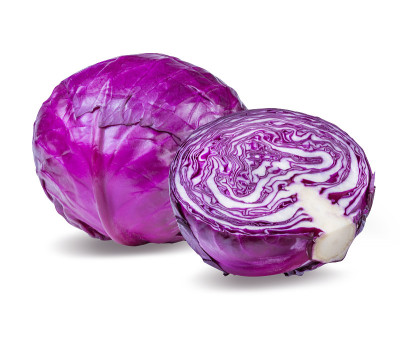 孤立在白色上的红卷心菜