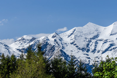 有雪和树的高山