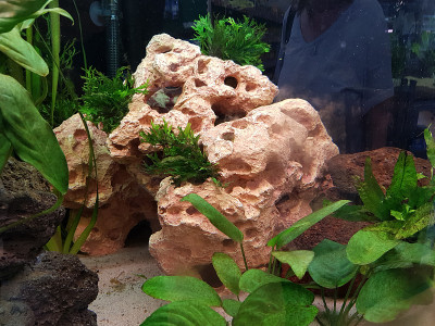 水下世界热带淡水水族馆全景图