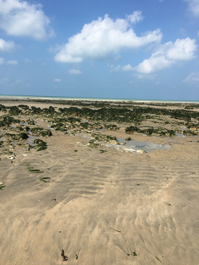 上诺曼底海滩，圣瓦莱里-考克斯