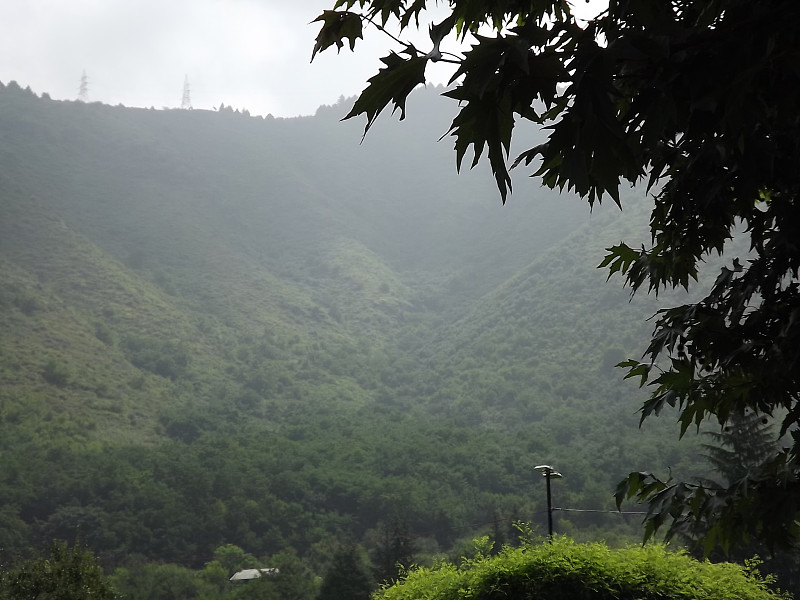 尼赫鲁花园