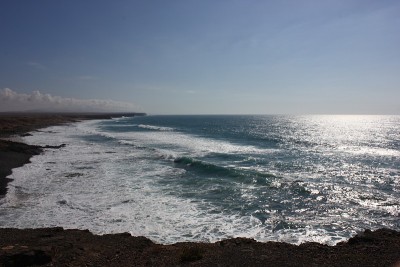 该Cotillo