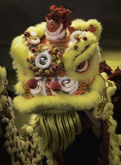 中国的狮子