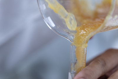 生物柴油生产是在实验室生产生物柴油的过程。