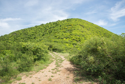 羊山