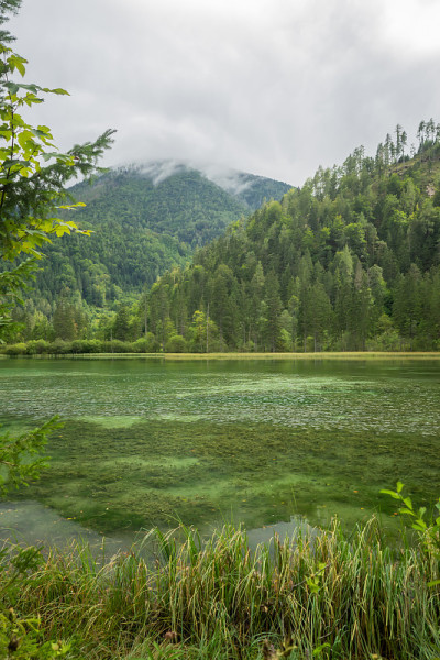 Schiederweiher，美丽的奥地利湖，靠近Hinterstoder