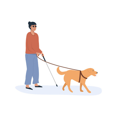 导盲犬与盲人同行。残疾女性与拐杖使用狗的帮助。平的风格的角色。矢量插图。