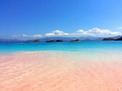 美丽的粉红色海滩和蓝色清澈的水来自科莫多岛(科莫多国家公园)，纳闽巴霍，弗洛雷斯，印度尼西亚
