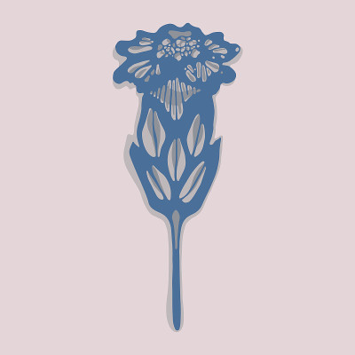 花蓍草