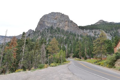 查尔斯顿山的一条山路。