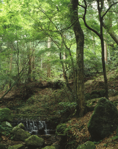 春日山莉