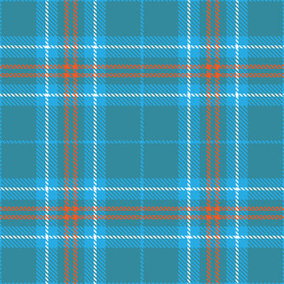 Tartan plaid seamless pattern white orange line bl