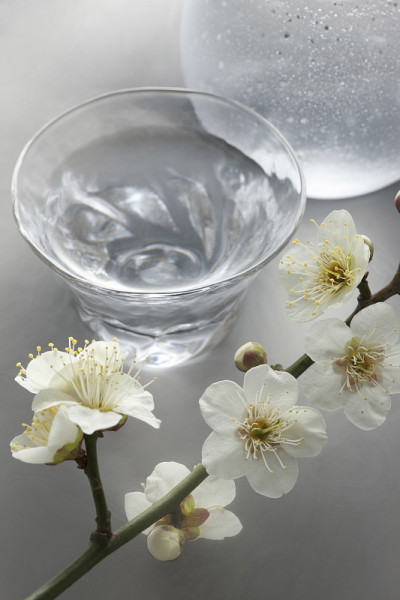 清酒梅花