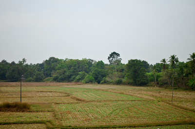 美丽的印度乡村风景