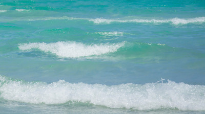 新鲜的海浪
