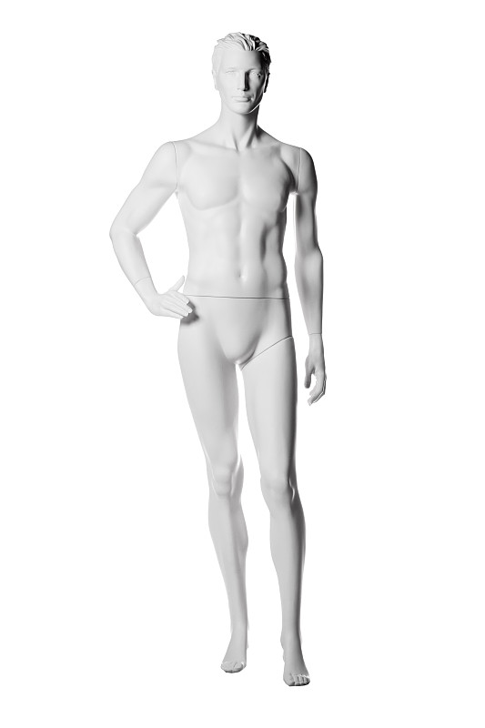 男性人体模型孤立