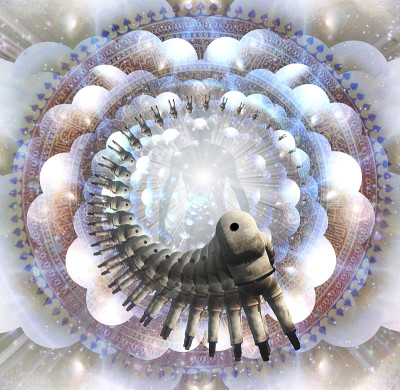 闪耀的光环和光芒