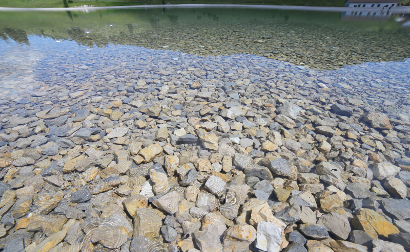 美丽的高山湖泊和树木