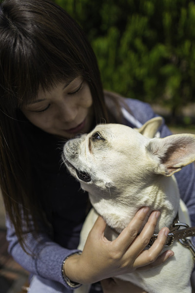 与法国斗牛犬玩耍的时间