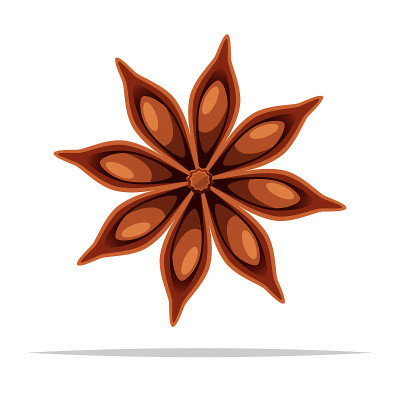 八角香料矢量孤立插图