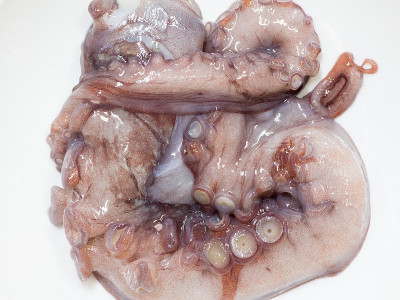 Japanese cuisine, raw octopus