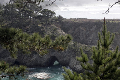 Point Lobos State Reserve, California