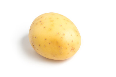 生土豆孤立