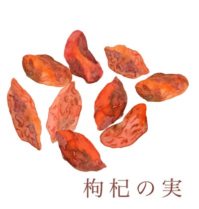 中药水彩插画
