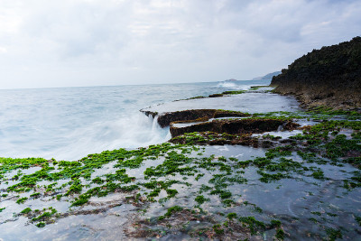 在雨季，海岸上有波浪和青苔的沉积岩海滩