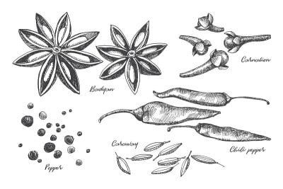 Spicy spices: cloves, pepper, star anise, and card