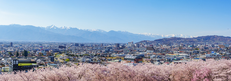 樱花盛开，松相市，日本北部阿尔卑斯山