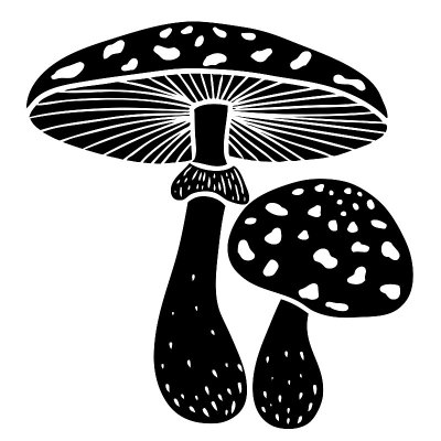 手画蘑菇蝇木耳。黑色的矢量图。