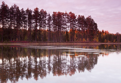 来自瑞典马林加那自然保护区的秋天湖景