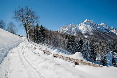 大雪过后的路
