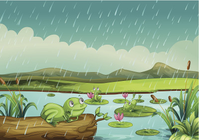 三只青蛙在享受雨滴