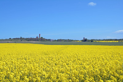 Kap Arkona,德国吕根岛