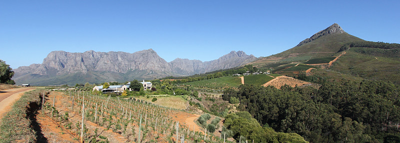 Stellenbosch的Tokara餐厅