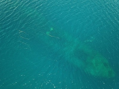 Famous wreck ship Fujikawa maru in Truk lagoon